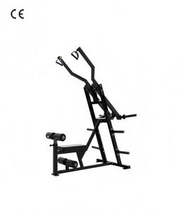 Equipo de Gimnasio Profesional de Último Diseño, Tabla de Entrenamiento de Fuerza con Máquina de Tracción Descendente para Ejercicio, OEM/ODM - Product Image 1