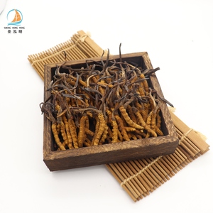 Cogumelo seco todo o preço selvagem <span class=keywords><strong>cordyceps</strong></span> <span class=keywords><strong>sinensis</strong></span> <span class=keywords><strong>cordyceps</strong></span> militar - Product Image 2