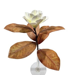 # Piante di Magnolia Marrone di Alta Qualità, 4-66 cm, 10 <span class=keywords><strong>Foglie</strong></span> Singole Corte, <span class=keywords><strong>Foglie</strong></span> di Magnolia per Decorazione Casa e Giardino - Product Image 5