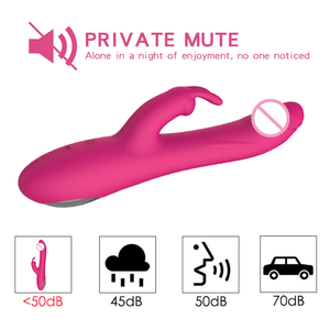 Vibratore Rabbit a Doppia Stimolazione Punto G Ricaricabile per Donne, Popolare su Amazon, 10 Modalità di Vibrazione, <span class=keywords><strong>Ricarica</strong></span> USB - Product Image 3