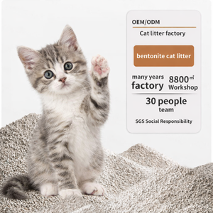 प्राकृतिक बेंटोनाइट मिट्टी बायोडिग्रेडेबल फ्लैशबल पर्यावरण के अनुकूल बिल्ली कूड़े थक्के खनिज रेत - Product Image 1