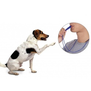 Silbato de plástico ajustable para adiestramiento de perros, sonido para dejar de ladrar, suministros para mascotas, venta al por mayor de fabricante - Product Image 6