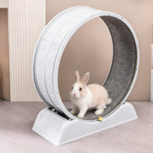 2026 B-<strong>PET</strong> Plastic Cat Treadmill Scratch Board Mute Anti-Pinch <strong>Fitness</strong> Roller Large Climbing Rack Exercise Toys - Product Image 1