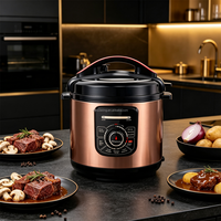 Cuisinière électrique à pression grande capacité avec système de verrouillage de sécurité et menus prédéfinis multiples pour usage domestique et commercial