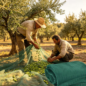 Rete di Raccolta per Frutta da Frutteto, Copertura a Rete per Terreno Agricolo, Portatile, Pieghevole, Resistente ai Raggi UV, in HDPE, per la Raccolta delle Olive - Product Image 1