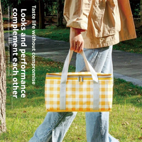 Panier de pique-nique isotherme pliable grande capacité épaissi avec tapis, sac de transport pour le camping en extérieur et le déjeuner, rangement alimentaire portable