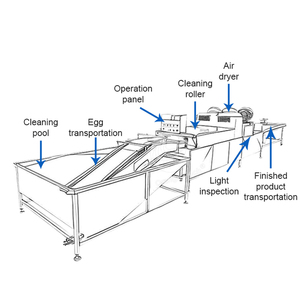 Orme công nghiệp thép không gỉ trứng rửa máy sấy trứng sạch bàn chải gà trứng Thiết bị làm sạch - Product Image 4