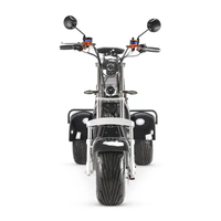 EEC COC CP7 poignée d'accélérateur de scooter citycoco et interrupteur