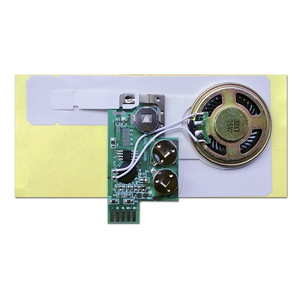 Trống 60 Giây Âm Thanh Module Cho Âm Thanh Tùy Chỉnh Ghi Âm Từ Máy Tính Và Điện Thoại Được Sử Dụng Trong DIY Giấy In Thẻ Cá Nhân Lời Mời - Product Image 3