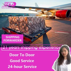 Door to door DDP from China to Philippines Dubai uae South Africa usa canada the cheap air freight forwarder