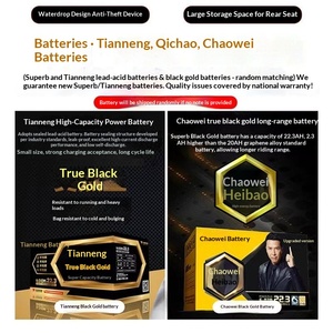 Electric Three-Wheeled Cargo Tricycle Open Body 1000W Power 50-70km/h Speed Household Agricultural Use - Product Image 3