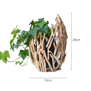 <span class=keywords><strong>Vase</strong></span> de décoration en <span class=keywords><strong>bois</strong></span> dérive naturel, fait à la main, dispositif en verre hydroponique pour décoration de maison - Product Image 2