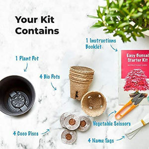 Nouveau produit 2023 Mini kit de bonsaï artisanal pour loisirs créatifs Notre kit complet pour débutants Idées cadeaux de Noël Kit de démarrage pour bonsaï - Product Image 6