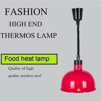 Power Großhandel Küchengeräte hängen Lebensmittel wärmer Lampe/elektrische bunte Buffet Lebensmittel Wärme lampe für Restaurant