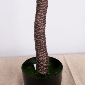 Venta de Fábrica, Planta Artificial de Bonsái de <span class=keywords><strong>Agave</strong></span> de Sangre de Dragón de Alta Calidad para Decoración del Hogar - Product Image 5