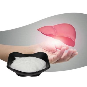 AMULYN ผงอัลฟา-จีพีซี 50% สำหรับผู้ทานวีแกน CAS 28319-77-9 อาหารเสริมสำหรับผู้ใหญ่ - Product Image 3