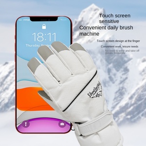 2025冬季滑雪手套，带触摸屏技术羊毛衬里，适用于寒冷的冬季骑行外贸 - Product Image 3