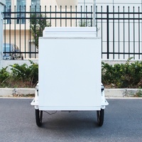 Tricycle Congélateur Commercial à 3 Roues, Chariot Électrique Mobile 36V 500W pour Aliments, Vélo de Présentation de Sucettes Glacées et Crèmes Glacées