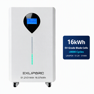 16kWh EV-Grade Blade LiFePO4 <b>Battery</b> 51.2V 314Ah 8000 Cycles Home Energy Storage Power Wall Factory Direct - Product Image 1