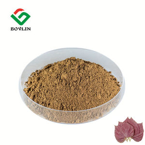 Pure <span class=keywords><strong>Perilla</strong></span> Leaf Extract Poeder Food Grade <span class=keywords><strong>Perilla</strong></span> Leaf Extract Poeder 10:1 20:1 Voor Gezondheidszorg Supplement - Product Image 2