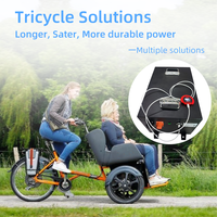 Tricycle électrique Bluetooth Bms avec écran LCD Batterie Lifepo4 36 volts 48v 72v 100ah 200ah 300ah Batterie au lithium pour voiturette de golf