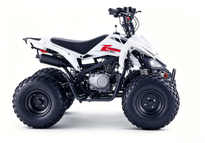 <span class=keywords><strong>Quad</strong></span> 4 roues tout-terrain robuste à essence 125cc avec suspension indépendante et châssis en acier chromoly pour adultes - Product Image 4