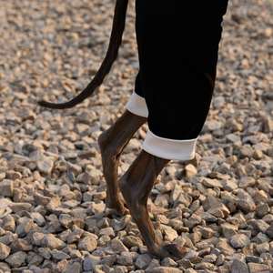 Joymay Luxe Logo Personnalisé Couleur Onesie Costume pour Grands Chiens D'été <span class=keywords><strong>Labrador</strong></span> Golden Retriever Caniche Lévrier Manteaux Vêtements - Product Image 4