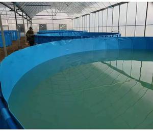 Staffa di buona qualità grande stagno per pesci portatile all'aperto in plastica in Pvc telone Mobile acquario - Product Image 4