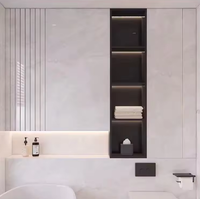 Niche de douche LED noire mate sur mesure avec dimensions personnalisées, en acier inoxydable 304, pour usage hôtelier