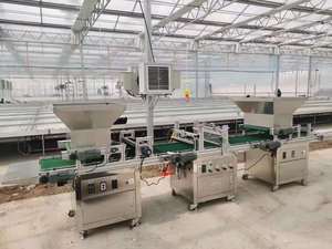 Automatische Stecklings-Sämaschine und Nährbodenabdeckmaschine für die Chargenproduktion von Gemüse- und Reis-Setzlingen - Product Image 2