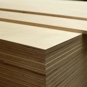 Compensato <span class=keywords><strong>di</strong></span> Betulla Baltica 3 <span class=keywords><strong>mm</strong></span> <span class=keywords><strong>1</strong></span>/8 X 12 X 20 Pollici, <span class=keywords><strong>Legno</strong></span> per Artigianato Non Trattato, Grado B/BB, <span class=keywords><strong>Fogli</strong></span> <span class=keywords><strong>di</strong></span> Betulla Baltica per Taglio e Intaglio del <span class=keywords><strong>Legno</strong></span> - Product Image 2