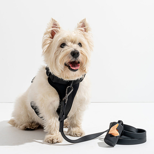 2025 Premium Animaux De Compagnie Compagnie Ensemble Collier Et Laisse Pour Chien - Product Image 1