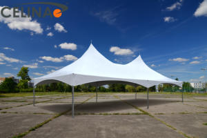 Tenda per Matrimoni 20'x40', <span class=keywords><strong>Struttura</strong></span> per Eventi e Feste, Gazebo, Tenda Pinnacle - Product Image 5