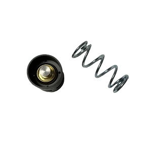 Kit de vanne thermostatique Manny 2901 1616 00 Construction métallique durable - Product Image 1