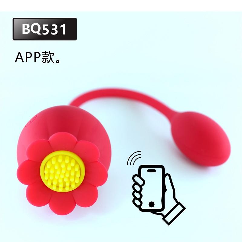 rose BQ531 APP