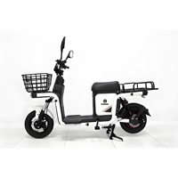 Motocicleta Eléctrica de Reparto de 1000W, Batería de Plomo-Ácido de 60V, E-bike con Doble Portaequipajes, Scooter Eléctrico para Reparto a Domicilio