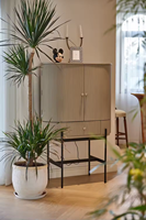 Meubles design anciens Armoire de cuisine en acier avec miroir en bois de bouleau Armoire de rangement pour salon