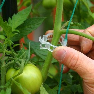 Plastic <strong>Tomato</strong> <strong>Support</strong> Clips for Greenhouse, Reusable Plant Clips with UV Resistance for <strong>Tomato</strong> Growing - Product Image 1