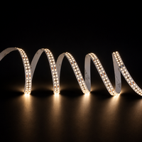 Bande LED Flexible 24V 18W/m, Puce 2025, 2100LM/m, Luminosité Uniforme, PCB Nu, Découpable, CE RoHS IP20, Éclairage Résidentiel DIY