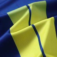 Maillot de football personnalisé 2627, design à rayures verticales bleu et lime, uniforme d'équipe, impression DIY du nom et du numéro