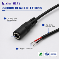 Câble d'alimentation personnalisé 12V 24V DC5521 avec connecteur femelle vers extrémité dénudée et étamée pour bande LED et panneau solaire