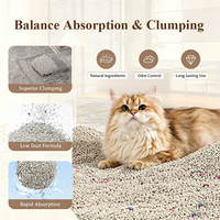 Litière pour chat en sable de bentonite agglomérante de sodium, haute qualité, très absorbante, anti-odeur, prix de gros usine