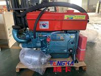 Moteur diesel monocylindre Tengka ZS1125 20KW 25HP 4 temps refroidi par eau pour générateur agricole certifié CE, norme d'émission Euro 2