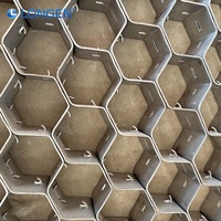 Grille perforée en acier alvéolaire, revêtement de four réfractaire, personnalisation d'usine, 1mx2m Hexsteel