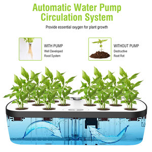 Kit de cultivo hidropónico para interiores de 20W para oficina en casa, sistema de luz Led, jardín hidropónico, jardín inteligente - Product Image 6