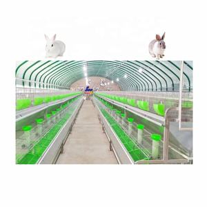 Jaula de conejo <span class=keywords><strong>para</strong></span> cría, alta tasa de supervivencia, agua potable automática, precio de fábrica - Product Image 6