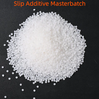 Additif anti-blocage et anti-adhérence Masterbatch, prévient l'adhérence statique, rapport 1%-2%, Masterbatch de lubrification pour feuilles, films et plaques en PETG/PET