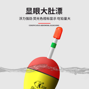 Flotador de Pesca HaiChuan ShanShui 20g 30g, Boya Vertical con Perfil en T para Pesca en Playa y Océano - Product Image 3