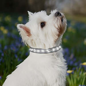 Venta al por mayor <span class=keywords><strong>Collar</strong></span> para mascotas <span class=keywords><strong>Collar</strong></span> de perro de poliéster suave recargable con luz LED brillante para perros pequeños y gatos Seguridad nocturna - Product Image 4