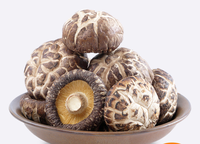 Échantillon Gratuit Fournisseur Fabricant Arôme Champignon Shiitake Liquide en Poudre Huile Soluble dans l'Eau Essence Alimentaire OEM